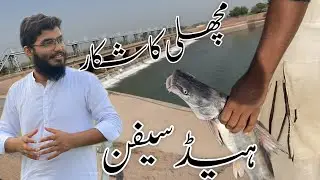 Punjabi Vlog || Visit to very old village || River Ravi  at Lahore || Head syphon