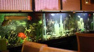 Pho Hung Vietnamese Restaurant