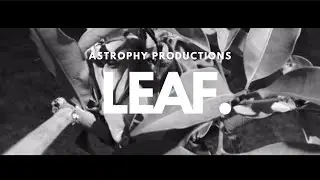 LEAF. - Short Film - Astrophy Productions