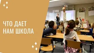 А чему учат в школе. Что я думаю о наших школах.