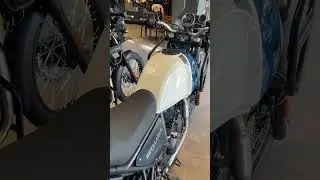 New Himalayan in stock