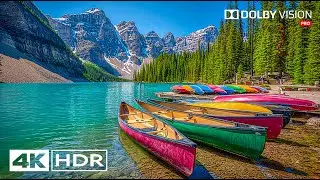 Cinematic 4K Nature Footage | Ultra HD 120FPS Demo