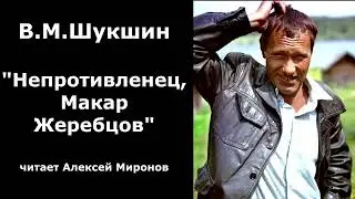 Василий Шукшин. "Непротивленец Макар Жеребцов"