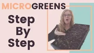 How To Grow Microgreens | Full Instructions