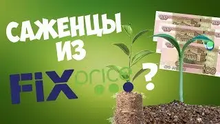 САЖЕНЦЫ ИЗ ФИКС ПРАЙС? // ОЛЬГА НЫЗЮК