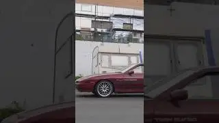Если кормить кота сзади? 