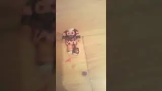 я старалась квинка надеюсь увидеть это и потпишится