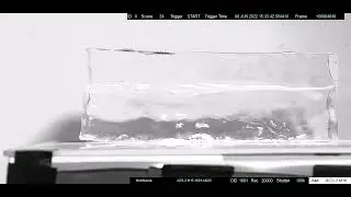 Ballistic Test of Biological Gels