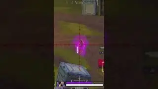 apex the one-shoulder