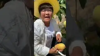 Chines Fresh Fruit with New Variety  | Fruit Art| 