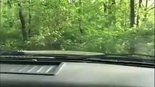F150 R in the woods