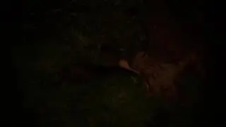 Будь как дома путник, я ни в чем не откажу