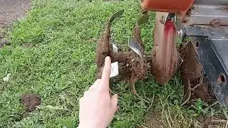 Прополка междурядий картофеля мотоблоком