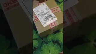 Яндекс прислали подарок