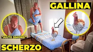 SCHERZO HO COMPRATO UNA GALLINA a MIO PAPÀ! VI PRESENTO COCÒ! *IMPAZZISCE*