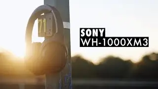 Die besten Noise Cancelling Kopfhörer! - Sony WH-1000XM3 Test Deutsch