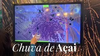 CHUVA DE AÇAÍ | JUÇAÍ