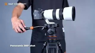 75.2"/1.91m Camerastatief, Videostatief met 360° Vloeistofkop