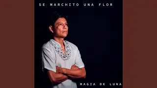 Se marchito una flor