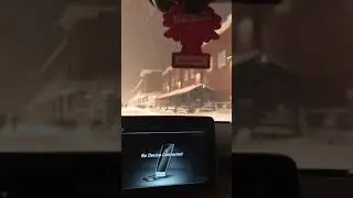 EVEN IN A BLIZZARD DOG!!!!!!