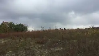 Видео с Точки № 1