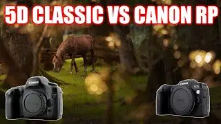 Canon 5D CLASSIC VS CANON RP | image quality | usability