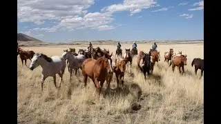 Weekend TV Worth Watching - a full episode of Today's Wild West!