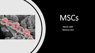 Exosomes Webinar 23 - MSCs