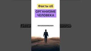 5 ФАКТОВ ОБ ОРГАНИЗМЕ ЧЕЛОВЕКА