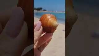 summer in Stavros Crete
