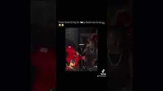 Was Travis Scott in the wrong here ? 
