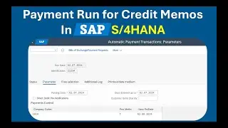 SAP S/4HANA Payment Run for Credit Memos - Full Process