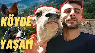 DAĞ EVİNDE DOĞAL BİR GÜN (ÇİFTLİK)