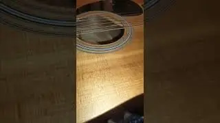 Я в весеннем лесу пил березовый сок..