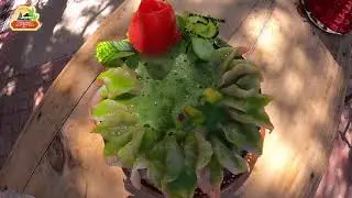 Platillo Agua Chile