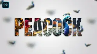 Bird Text portrait in Photoshop | Photoshop Text Effect