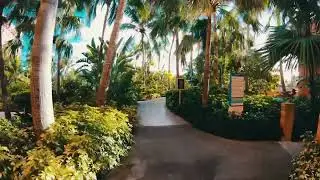 Walking around Atlantis in the Bahamas 🇧🇸