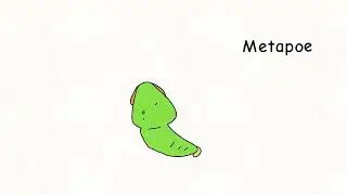 Caterpie evolves