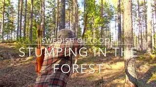 Archery Training | Stumping in the forest