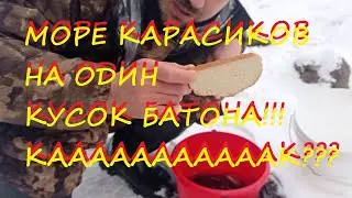 МОРЕ КАРАСИКОВ НА ОДИН КУСОК БАТОНА!!!