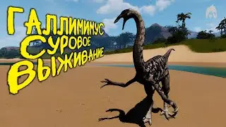 СОЛО СУРОВОЕ ВЫЖИВАНИЕ ЗА ГАЛЛИМИМУСА | THE ISLE EVRIMA 