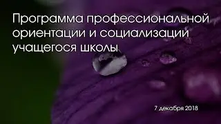 Программа профессиональной ориентации и социализации учащегося школы
