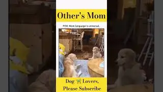 Other Moms Vs My Mom 