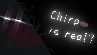 I called Chirp and it was a mistake...