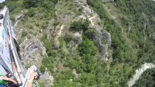 Pacca jumping