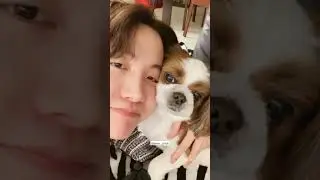 hobi and mickey🐾❤️.they look sooo cute together