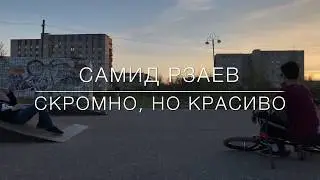 Самид Рзаев / Скромная красота