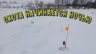 ОСТАВИЛ ЖЕРЛИЦЫ ЕЩЕ НА ОДНУ НОЧЬ И СНОВА КЛЮНУЛА щука. рыбалка 2024
