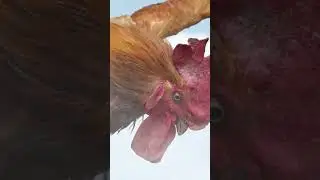 The Martial Arts Master Can't Even Beat A Chicken！