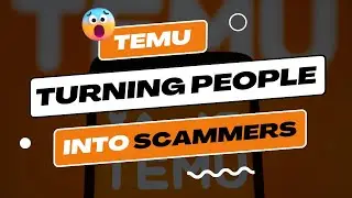 Temu: Turning People Into Scammers these days